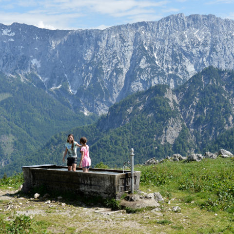 Ritzau-Alm-Ebbs-Kaisertal-14-Barbara-Buchauer-Anker-Kinder
